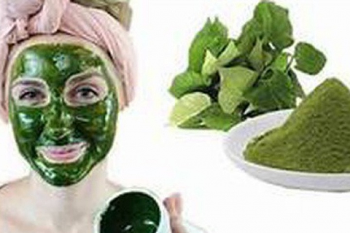 5 cách làm mặt nạ rau diếp cá giúp trị mụn, giảm thâm, làm dịu da mùa hè