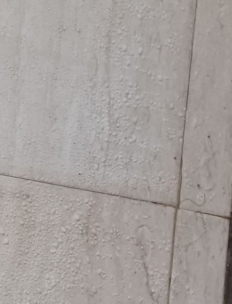 Hơi nước đọng trên tường. Ảnh: X