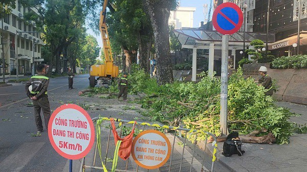 Tại các vị trí cắt sửa cây xanh đều dựng rào chắn, có biển cảnh báo an toàn. Ảnh: VA.
