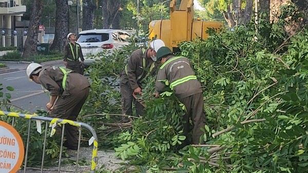Công nhân thu gom, phân loại lá và cành nhỏ với những cành cây to. Ảnh: VA.