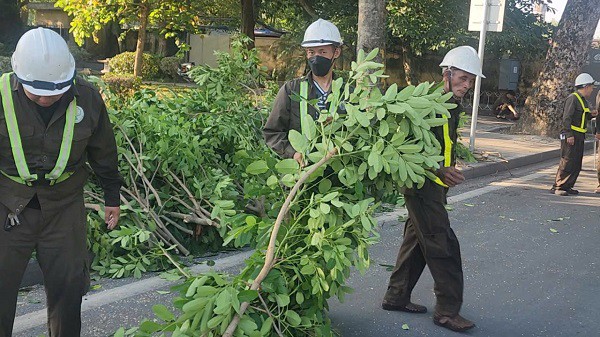 Các công nhân tại đây đang thu gom, phân loại cành cây mới được cắt. Ảnh: VA.