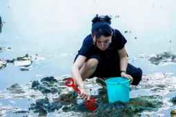 Bạn trẻ Đà Nẵng đổ ra vịnh lội bùn 'săn' ốc móng tay