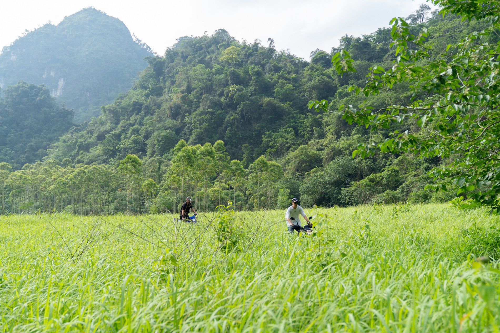 Quãng đường tới thác Khe Dầu không quá dài và khó với người đã quen trekking nhưng cũng có thể là thử thách cho người ít vận động hoặc thể lực kém...