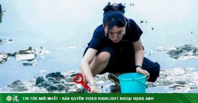 Bạn trẻ Đà Nẵng đổ ra vịnh lội bùn 'săn' ốc móng tay