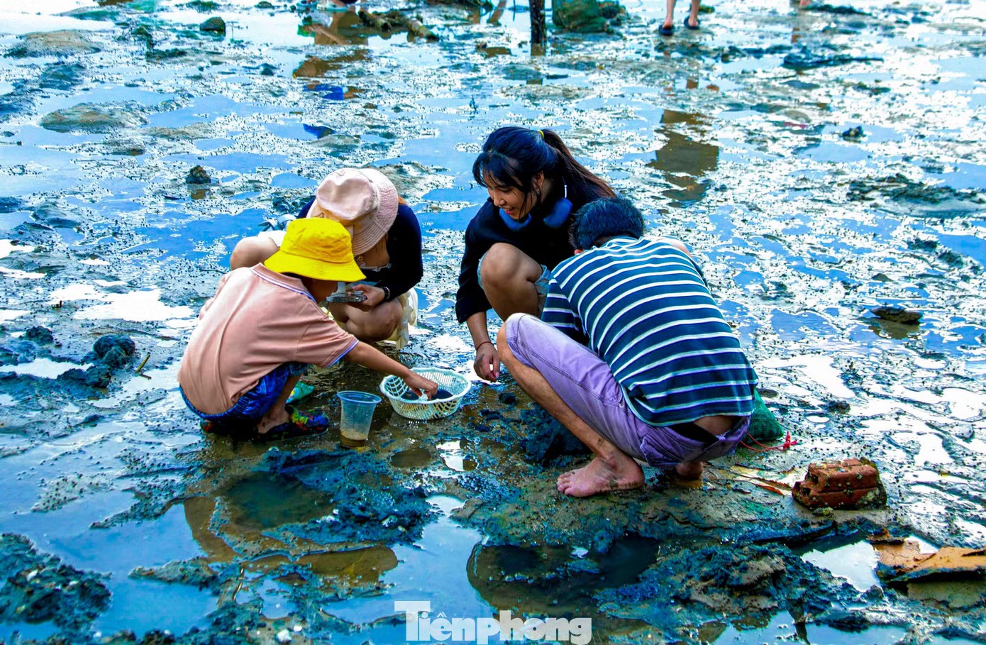 Bạn trẻ Đà Nẵng đổ ra vịnh lội bùn 'săn' ốc móng tay - 4