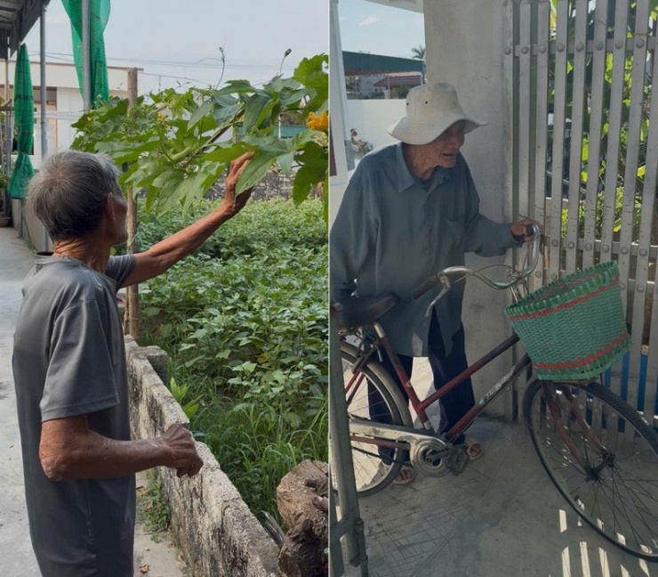 Cụ Việt tự làm vườn và đạp xe đi chợ mỗi ngày 