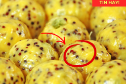 Tin tức sức khỏe - Loại hạt tí hon này là “cứu tinh” cho người tiểu đêm, Việt Nam rẻ bèo nhưng nước ngoài coi như “báu vật”!