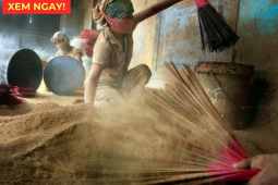Tin tức sức khỏe - 4 mùi hương quen thuộc “âm thầm” hại phổi: Hít vào coi chừng đàm nghẹn cổ, khó thở cả đêm