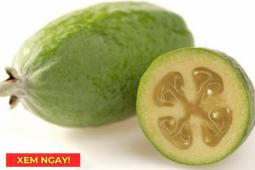 Tin tức sức khỏe - “Siêu trái cây” chứa hàm lượng vitamin C cao vượt trội, rất tốt cho hô hấp mùa nắng nóng!
