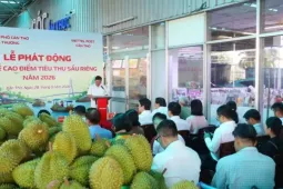 Cần Thơ 'giải cứu' sầu riêng