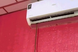 Đang nghỉ trưa, người đàn ông Tây Ninh phát hiện rắn chui ra từ điều hòa