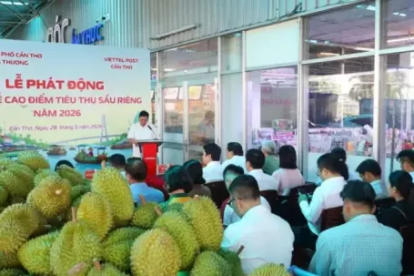 Cần Thơ 'giải cứu' sầu riêng