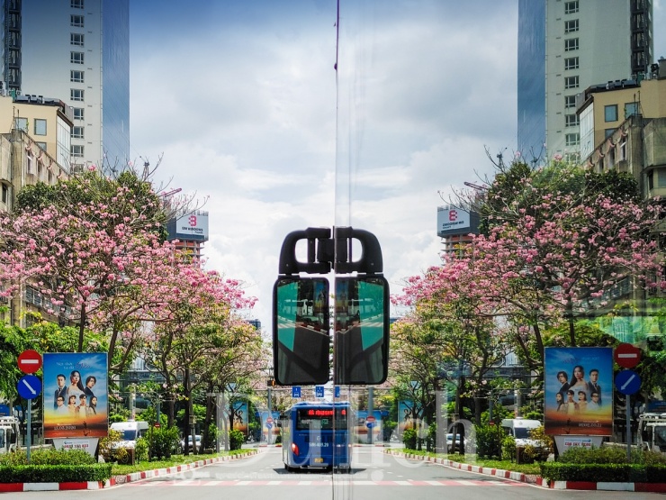 Người ta tìm đến không chỉ để chụp ảnh, mà còn để tìm cho mình khoảng bình yên giữa nhịp sống hối hả của đô thị hơn chục triệu dân.