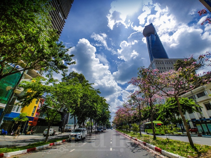 Có những người ban đầu chỉ ngang qua rồi sau đó quay xe trở lại, bởi khó bỏ lỡ khung cảnh hiếm gặp giữa những ngày hè.