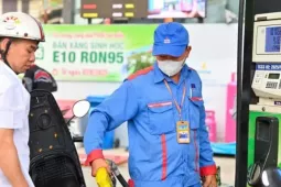 Thị trường - Tiêu dùng - Chuyên gia khẳng định không có chuyện xăng E10 “phá xe”