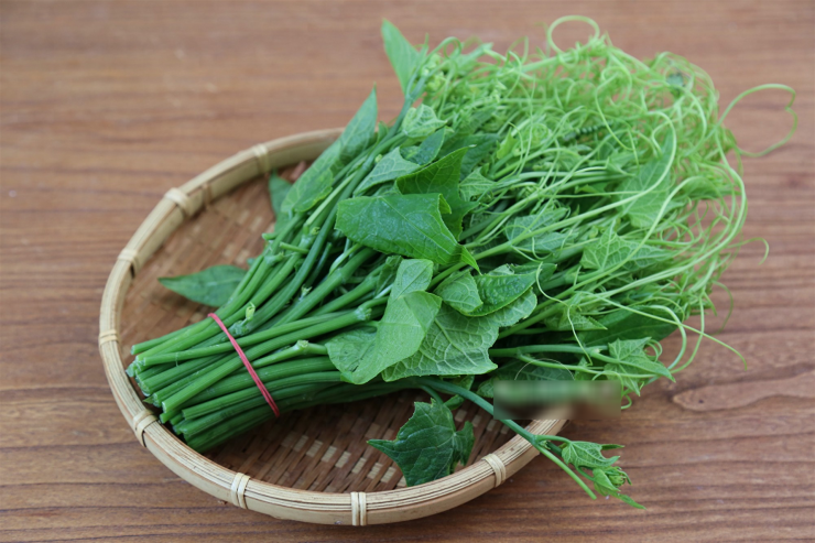 Có một loại rau phát triển mạnh vào mùa mưa mà bạn không nên bỏ qua: Ngọn su su.
