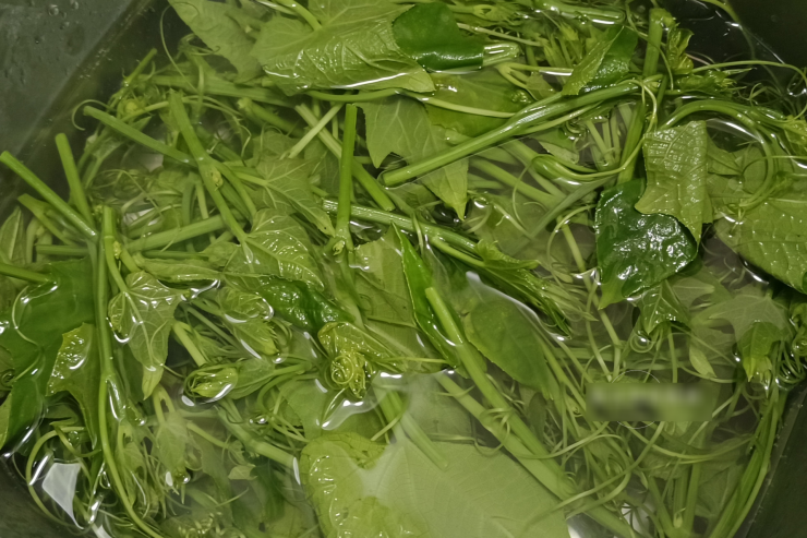 Loại rau có axit folic gấp 20 lần cần tây, ăn nhiều giúp đẹp da, tăng cường miễn dịch, lại không lo tăng cân - 4