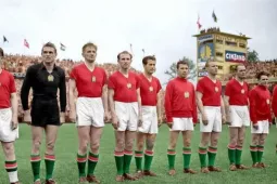 Lịch sử World Cup 1954: Giải đấu của Hungary và những kỷ lục vô tiền khoáng hậu