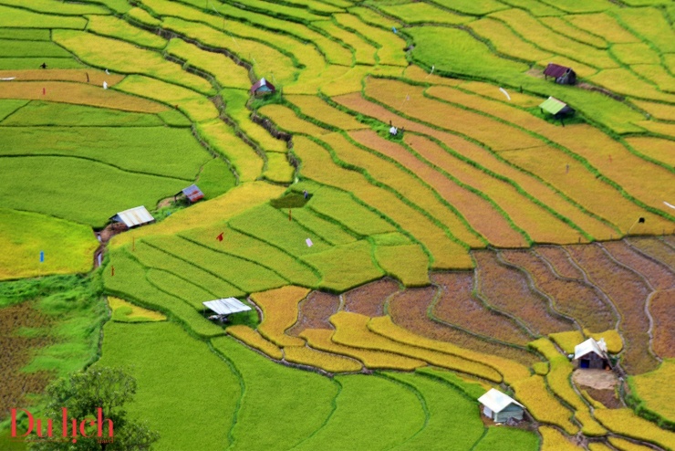 Mùa lúa chín, Thung lũng KonTu Rằng mặc áo vàng óng ánh, mê hoặc du khách - 5