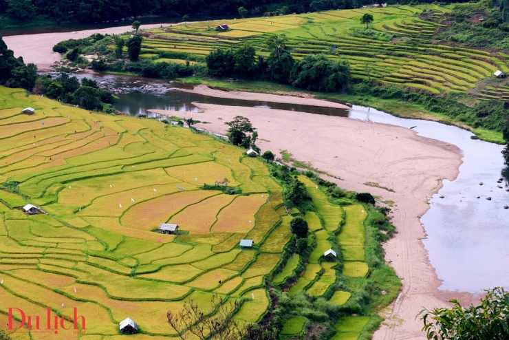 Mùa lúa chín, Thung lũng KonTu Rằng mặc áo vàng óng ánh, mê hoặc du khách - 3