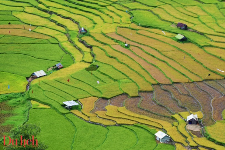 Mùa lúa chín, Thung lũng KonTu Rằng mặc áo vàng óng ánh, mê hoặc du khách - 8