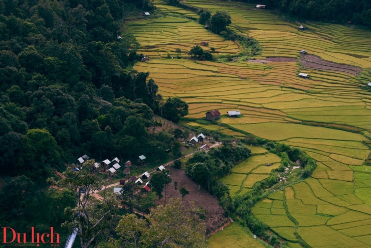 Mùa lúa chín, Thung lũng KonTu Rằng mặc áo vàng óng ánh, mê hoặc du khách - 10