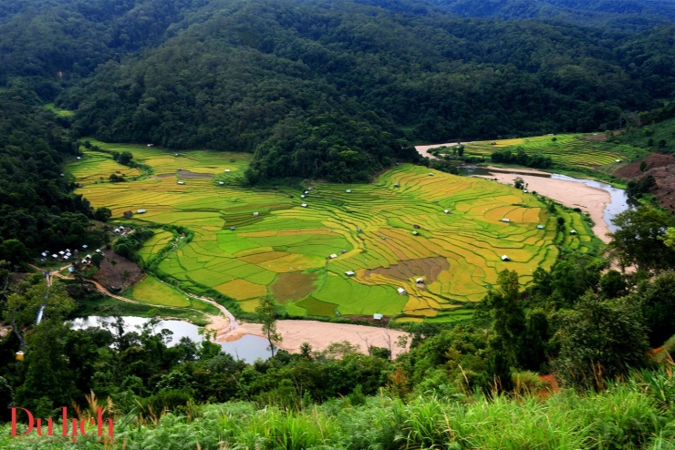 Mùa lúa chín, Thung lũng KonTu Rằng mặc áo vàng óng ánh, mê hoặc du khách - 7