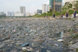 Hơn 10 tấn cá chết nổi trắng hồ điều hòa ở Hà Nội