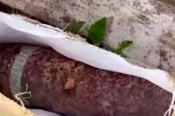Người đàn ông mang đầu đạn cối tới trụ sở công an