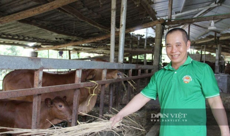 Anh Tuấn đã xây dựng thành công mô hình trang trại tuần hoàn khép kín. Ảnh: Hoàng Tính