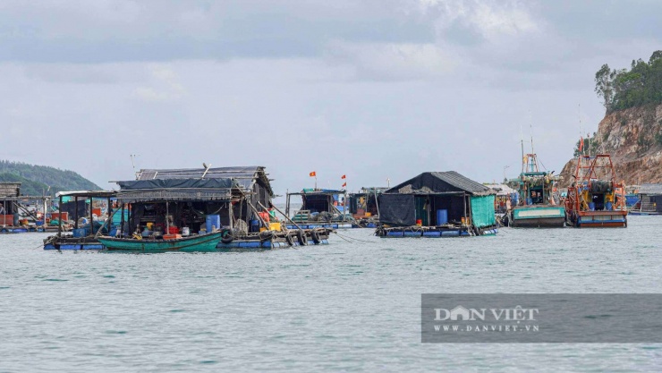 Những năm qua, phong trào nuôi cá lồng bè trên biển ở Tiểu khu An Sơn và Tiểu khu Nam Du thuộc đặc khu Kiên Hải nói riêng và trên địa bàn tỉnh An Giang nói chung đã mở ra một hướng đi đột phá cho kinh tế biển.&nbsp;Ảnh: Hồng Cẩm