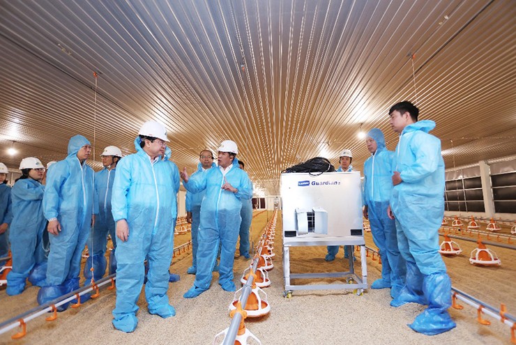 Lãnh đạo Tây Ninh khảo sát tiến độ Dự án chăn nuôi công nghệ cao DHN Tây Ninh 2