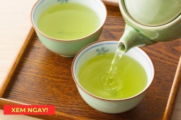 Tin tức sức khỏe - Mùa hè, uống trà xanh có tốt cho phổi? Câu trả lời khiến nhiều người bất ngờ!