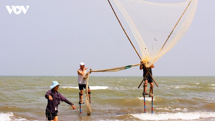 Đối mặt với vùng biển cát lún Thịnh Long, những ngư dân nơi đây đã biến những thân tre già thành “đôi chân nối dài” để đứng cao hơn sóng, nhìn rõ luồng cá giữa biển khơi.