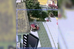 Clip: “Cảm động” thanh niên chạy thóc giúp bố mẹ và cái kết khó đỡ