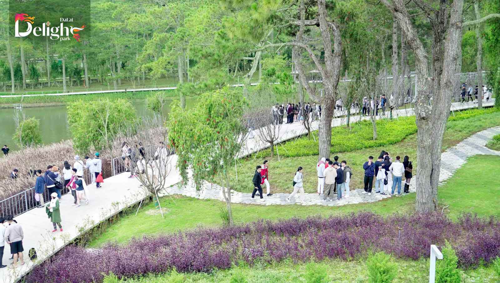 Delight Park Đà Lạt: Mang hồ Than Thở trở lại trong sắc hoa và ánh sáng - 5
