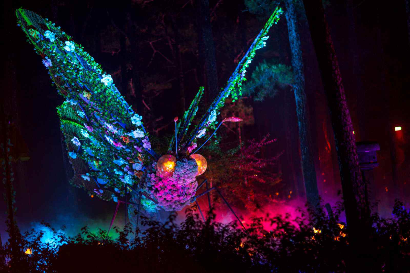 Delight Park Đà Lạt: Mang hồ Than Thở trở lại trong sắc hoa và ánh sáng - 31