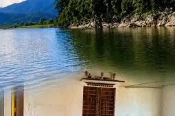 Khúc sông không ai tắm và bi kịch cướp đi 4 sinh mạng trong một gia đình