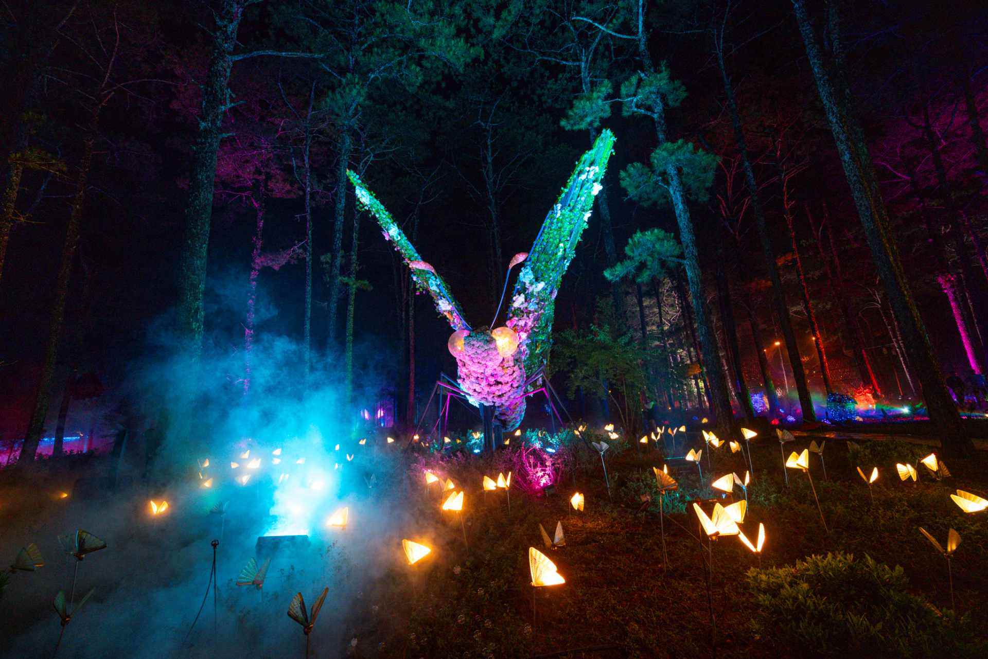 Delight Park Đà Lạt: Mang hồ Than Thở trở lại trong sắc hoa và ánh sáng - 13