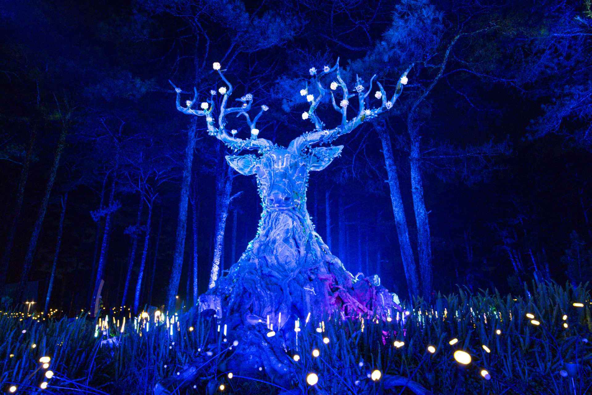 Delight Park Đà Lạt: Mang hồ Than Thở trở lại trong sắc hoa và ánh sáng - 41