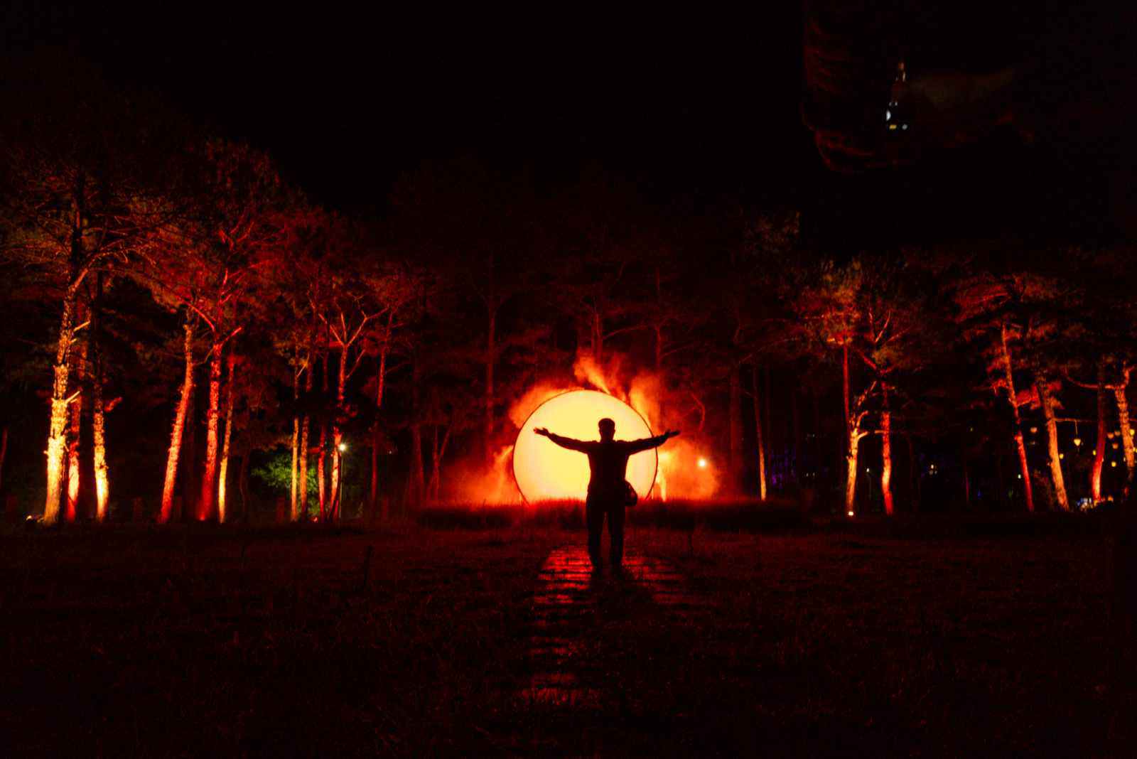 Delight Park Đà Lạt: Mang hồ Than Thở trở lại trong sắc hoa và ánh sáng - 15