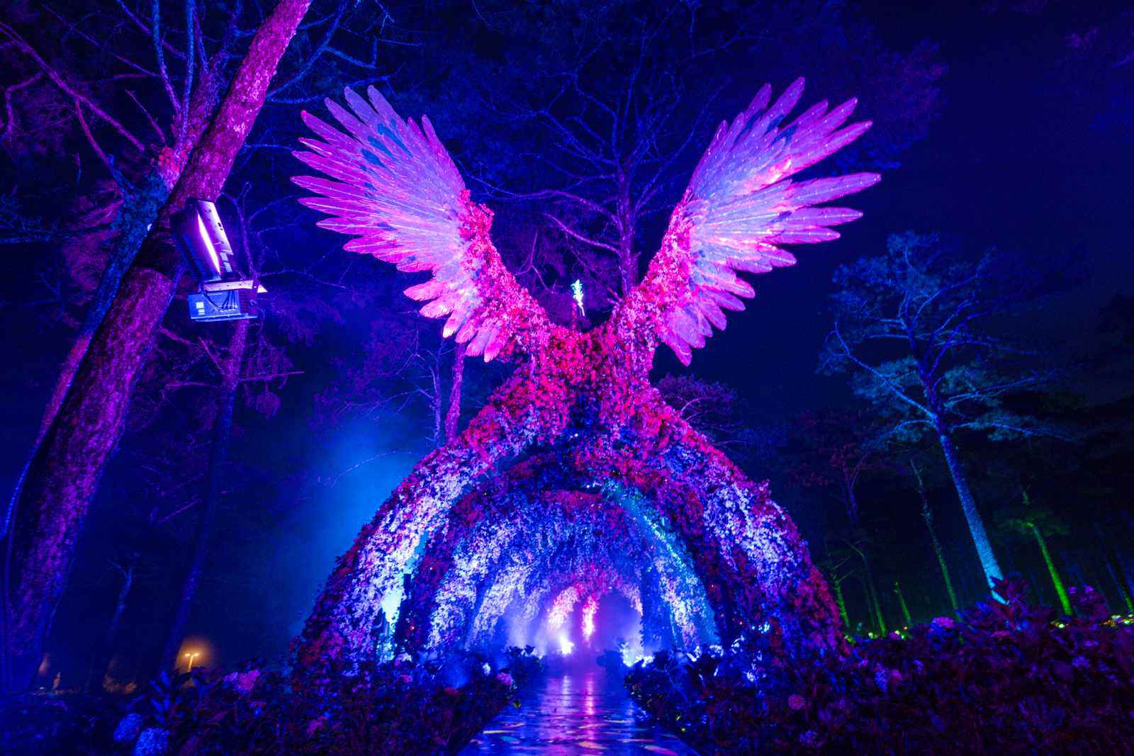 Delight Park Đà Lạt: Mang hồ Than Thở trở lại trong sắc hoa và ánh sáng - 43
