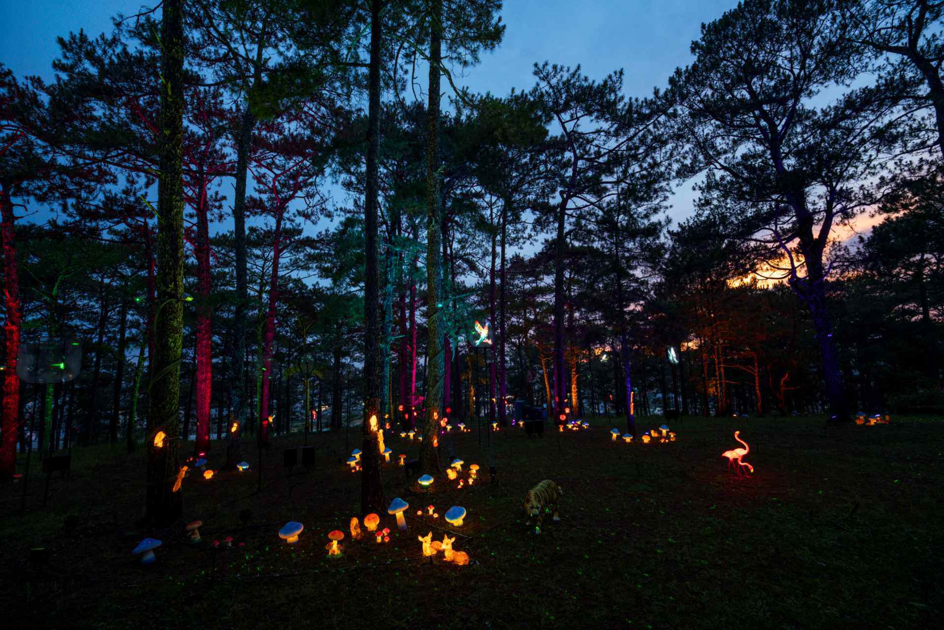 Delight Park Đà Lạt: Mang hồ Than Thở trở lại trong sắc hoa và ánh sáng - 9