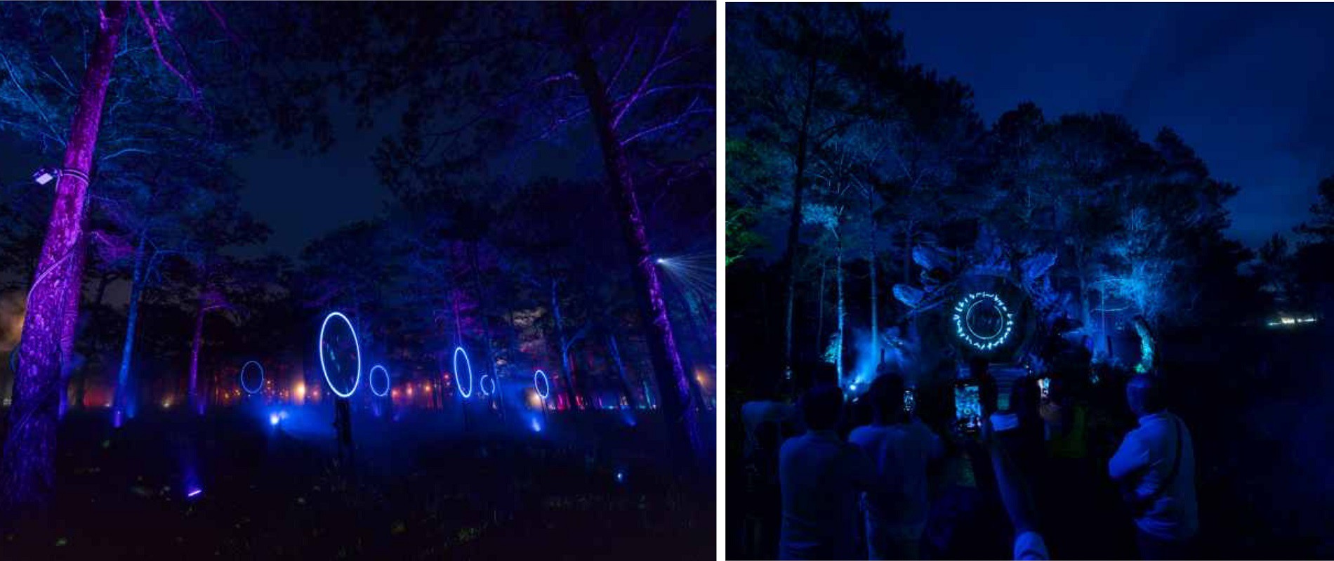 Delight Park Đà Lạt: Mang hồ Than Thở trở lại trong sắc hoa và ánh sáng - 45