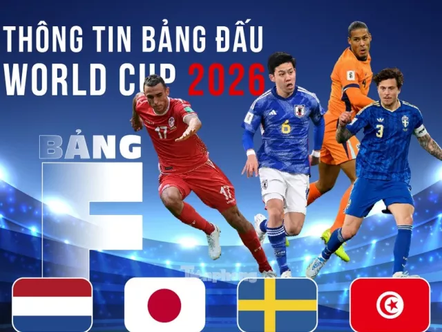 Thông tin bảng F FIFA World Cup 2026: Cạm bẫy trên hành trình của Hà Lan