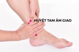 Tin tức sức khỏe - Day 3 huyệt đạo này 3 lần/ngày: Mẹo đơn giản giúp ngủ ngon hơn, bớt khổ vì tiểu đêm