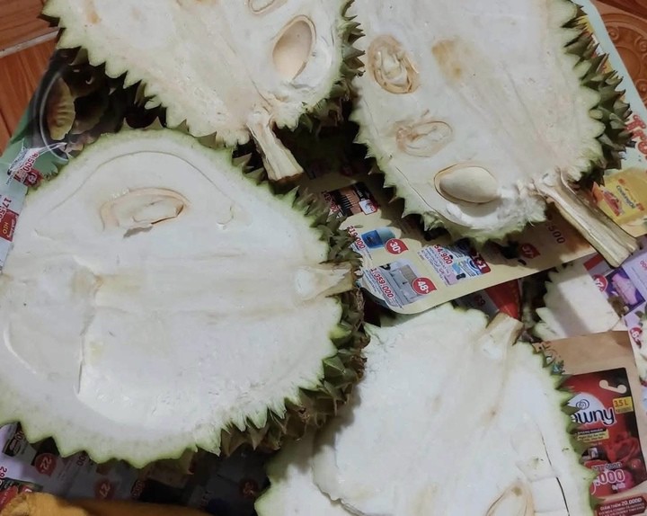 Sầu riêng giá rẻ sau khi mua về để nhiều ngày vẫn không chín.