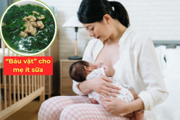 Tin tức sức khỏe - “Siêu thực phẩm” từng mọc đầy hàng rào, nay được nhiều mẹ sau sinh ít sữa coi như “báu vật”