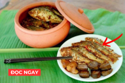 Tin tức sức khỏe - Ít ai ngờ: Niêu cá kho cả xương dân dã của người Việt nhưng lại “quý giá” cho sức khỏe xương khớp