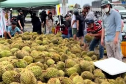 Mua sầu riêng non 'giải cứu' ven đường ở TP.HCM, người tiêu dùng lãnh đủ